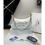 COACH TERI MINI SIGNATURE CANVAS NYC CROSS BODY BAG