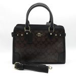 COACH DARCIE CARRYALL SIGNATURE CROSSBODY BAG