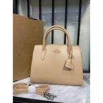 COACH ANDREA CARRYALL BAG