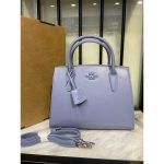 COACH ANDREA CARRYALL BAG